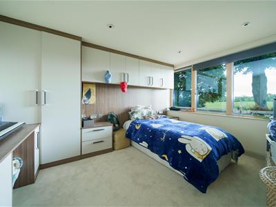 Picture 17